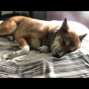 Meet your Posher, Kelley